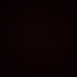 Meet your Posher, Tabitha